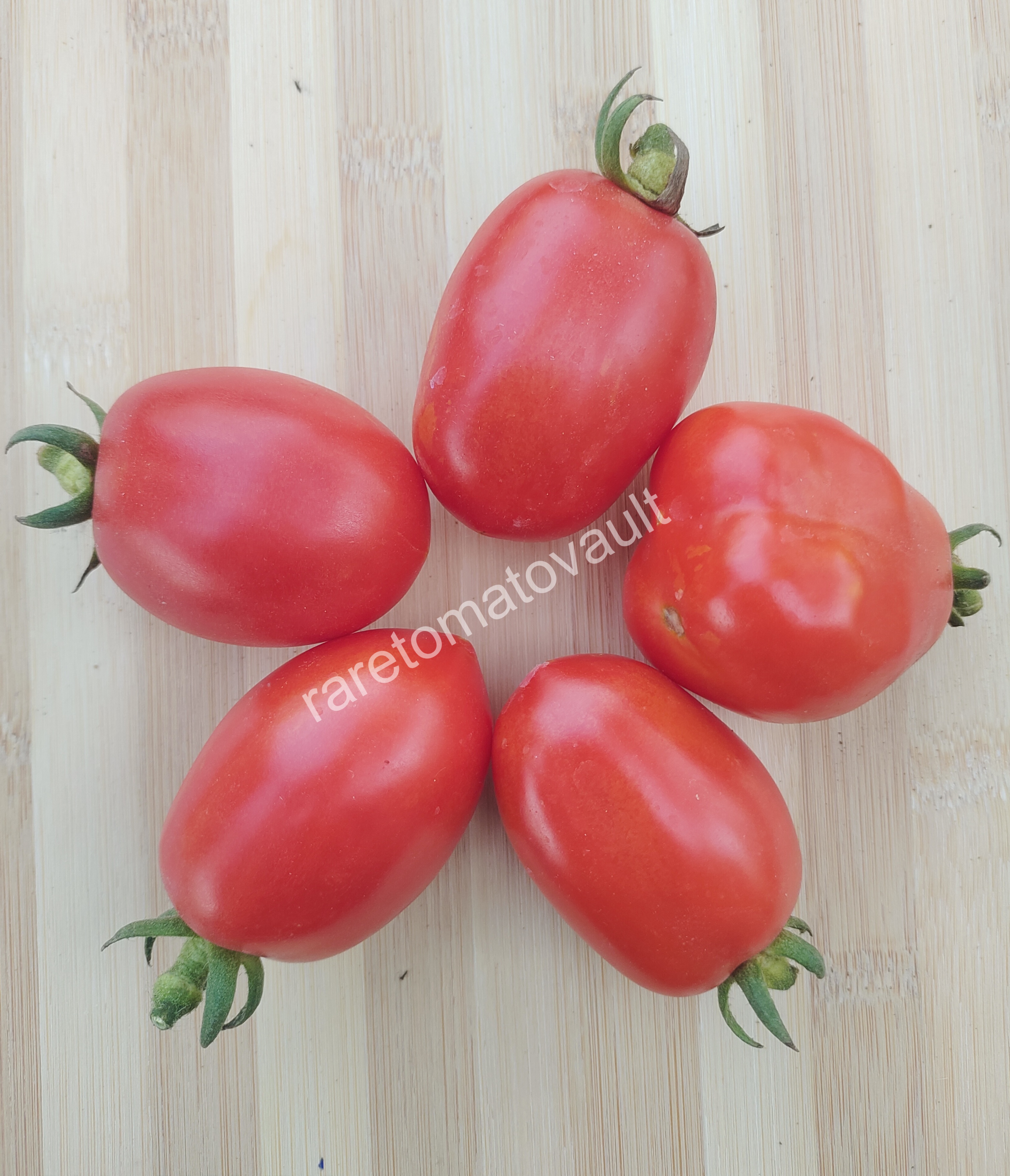 Martino Roma Tomato (Italian Heirloom)