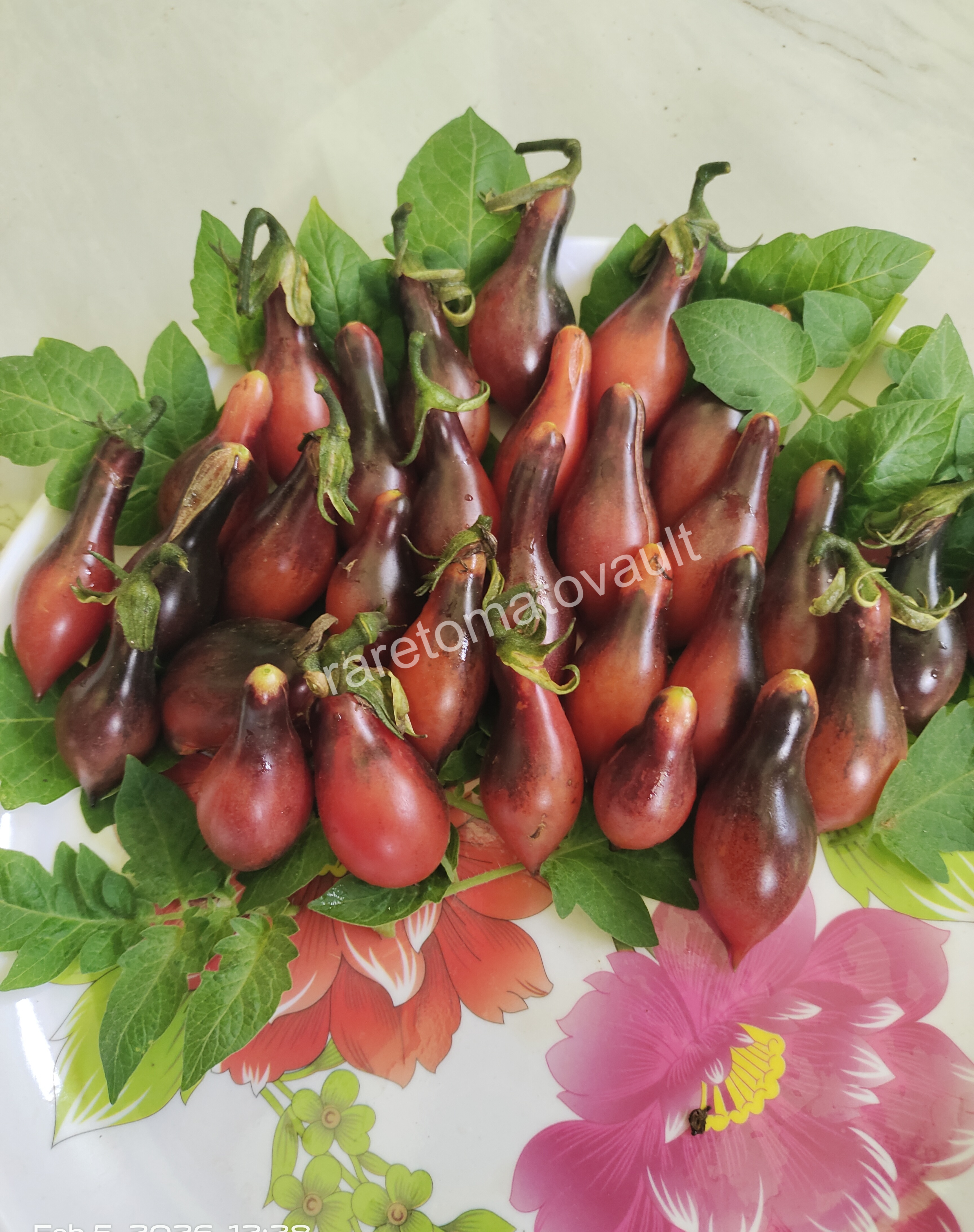 Kumquat Opal Tomato
