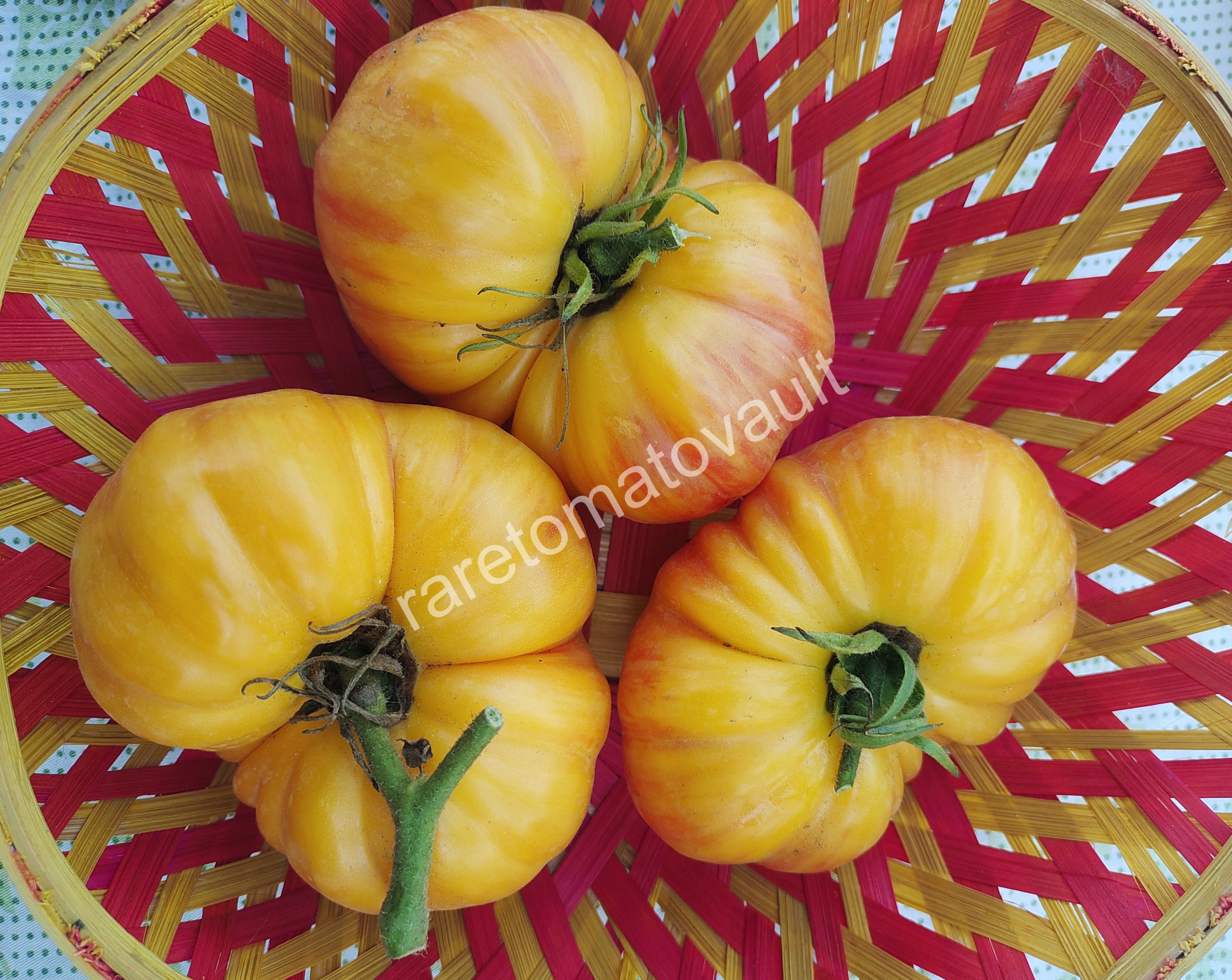 Lithium Sunset Tomato (USA Heirloom)