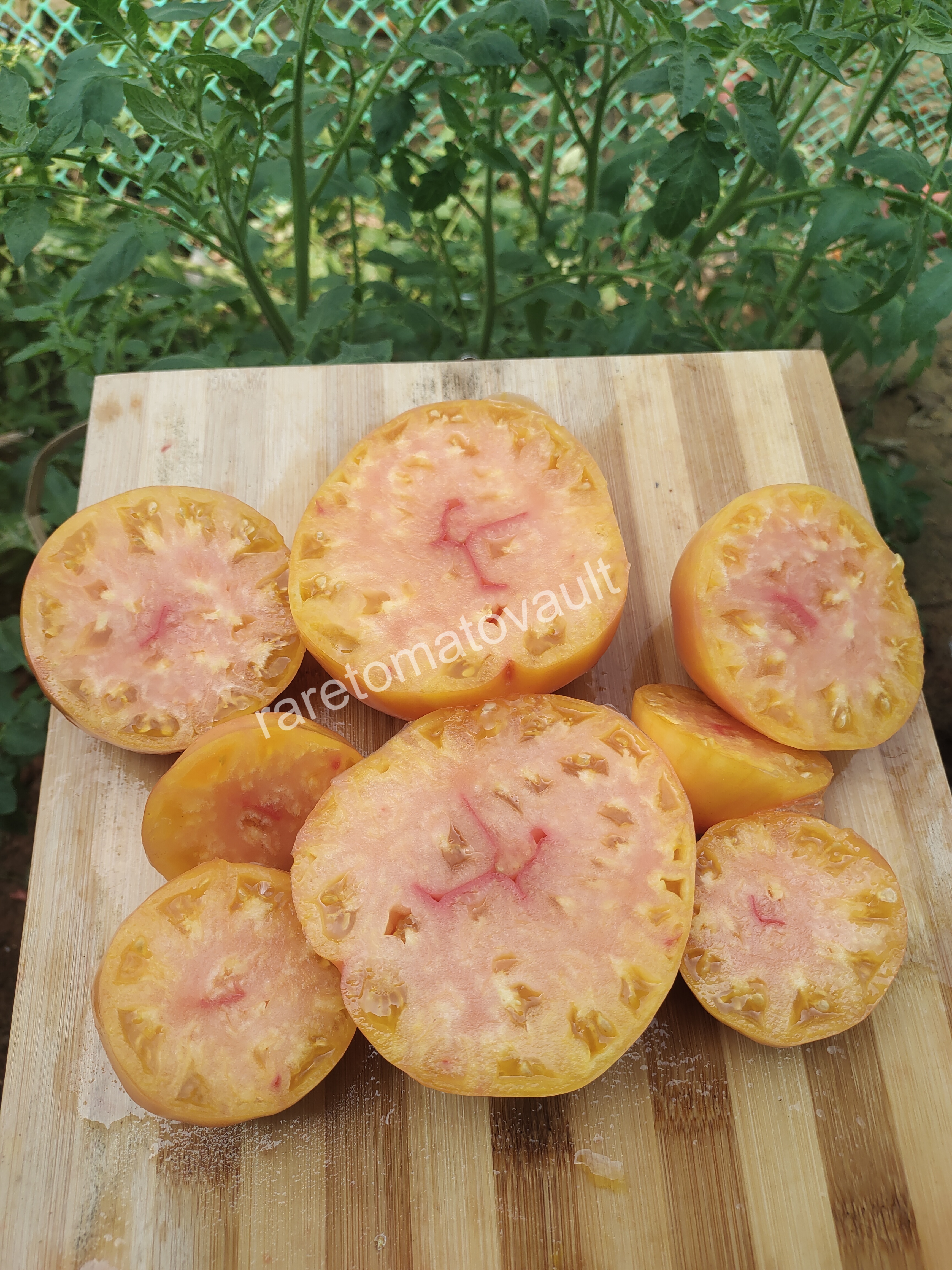 Sofia's Pineapple Strawberry (Russia)