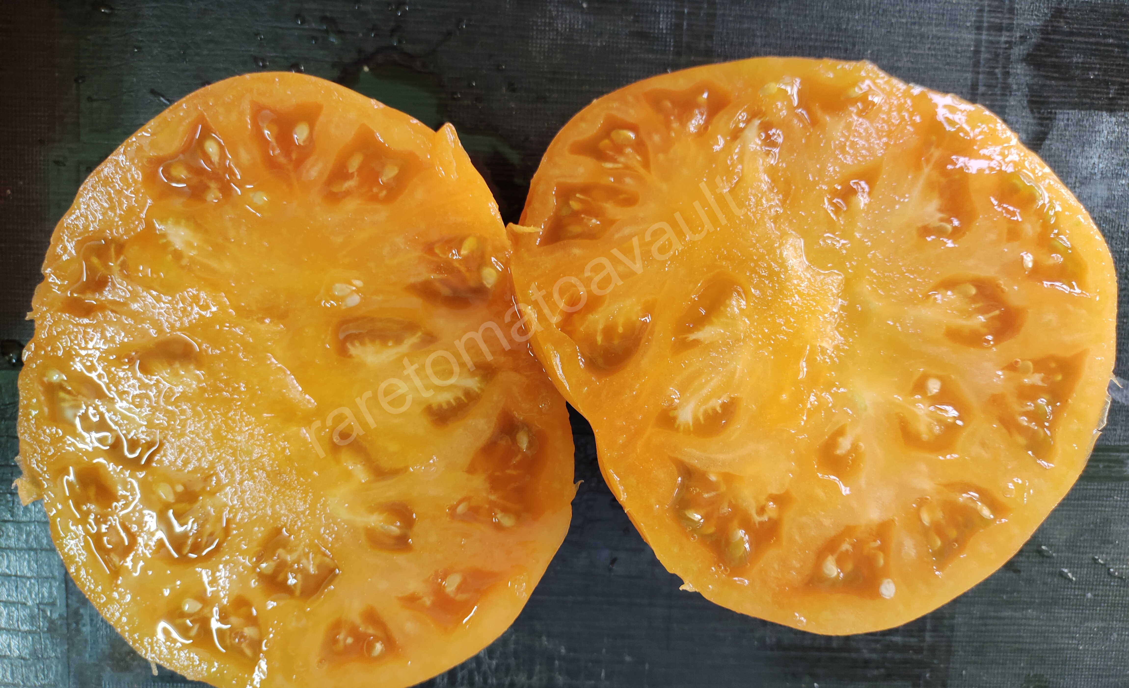 Kellogs breakfast Tomato (West Virginia Heirloom)