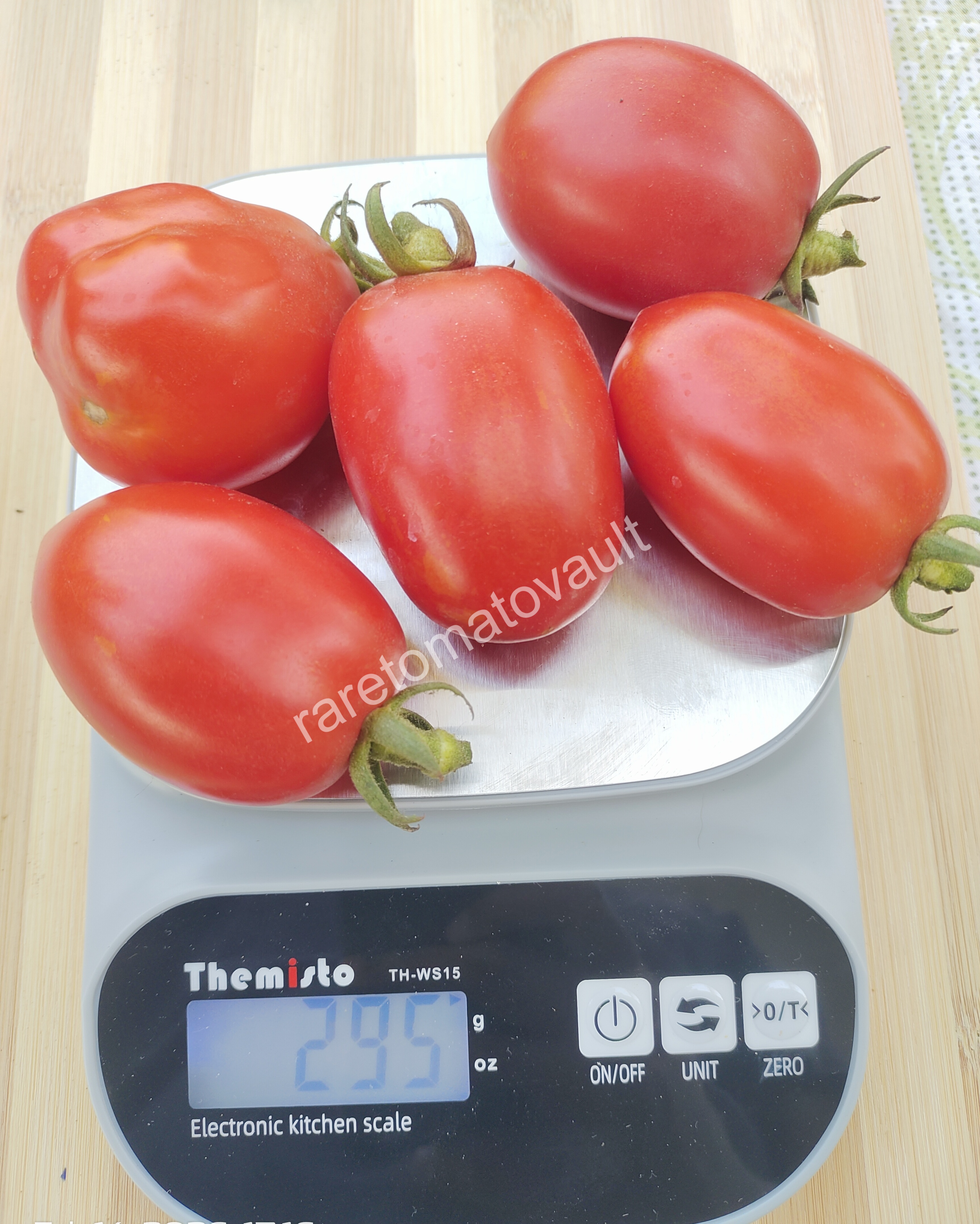 Martino Roma Tomato (Italian Heirloom)