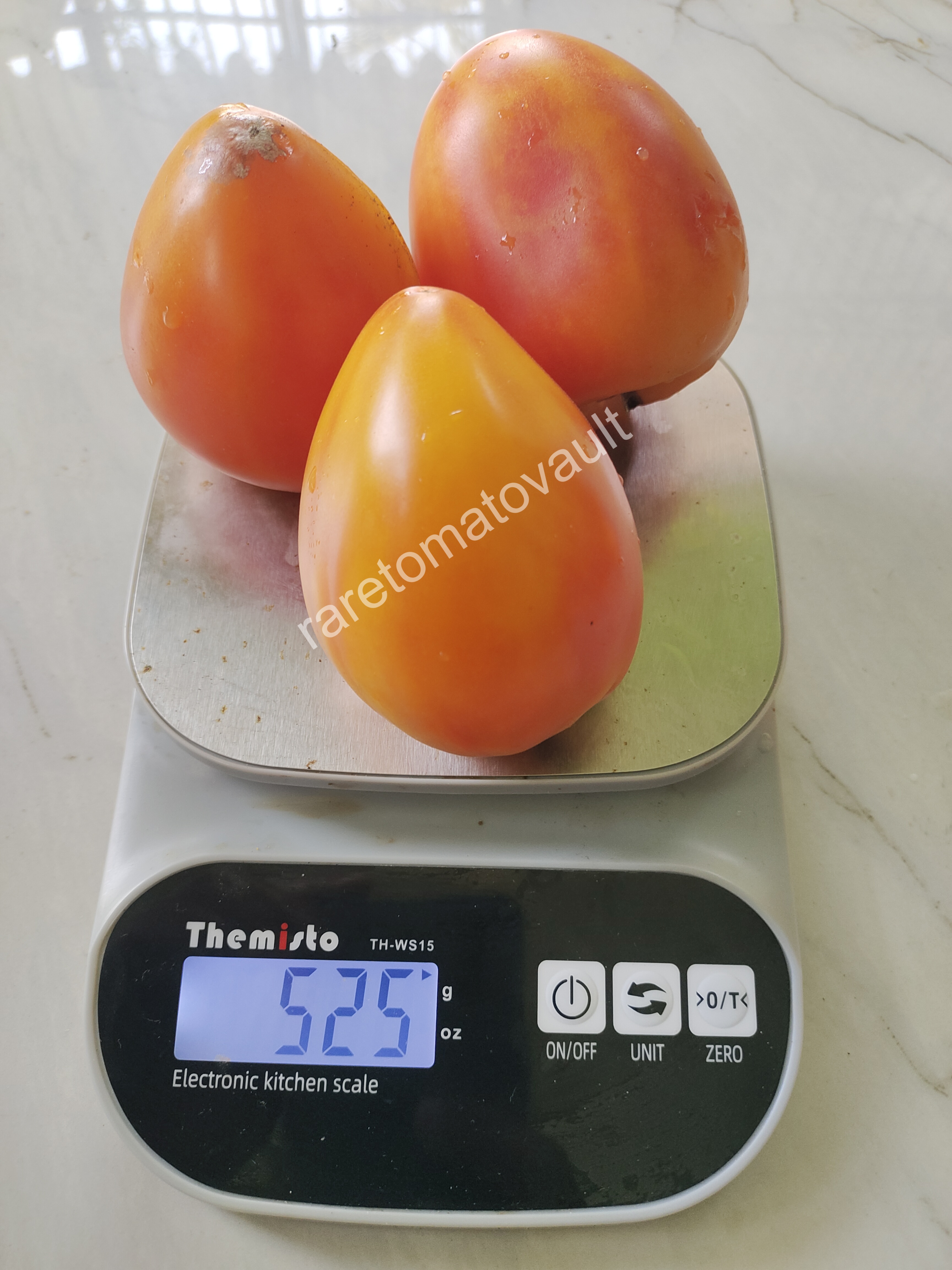 Sofia's Orange Mango (Russia)