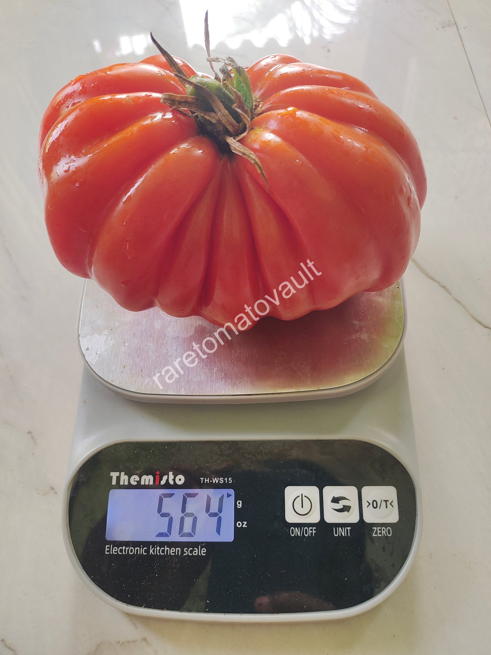 Gigante Friulano Tomato (Italy)