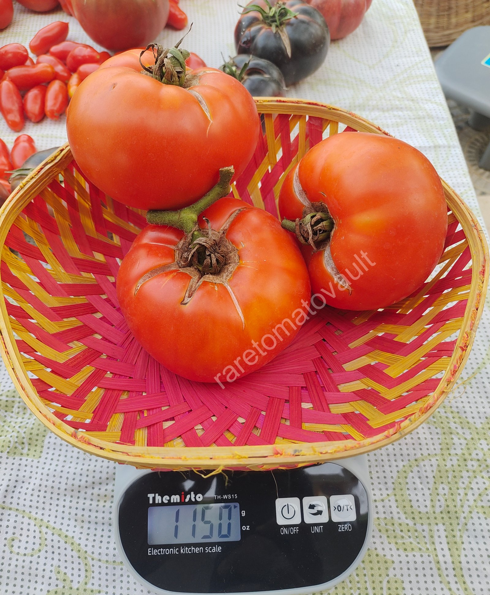 Brandywine OTV Tomato (Classic Heirloom)