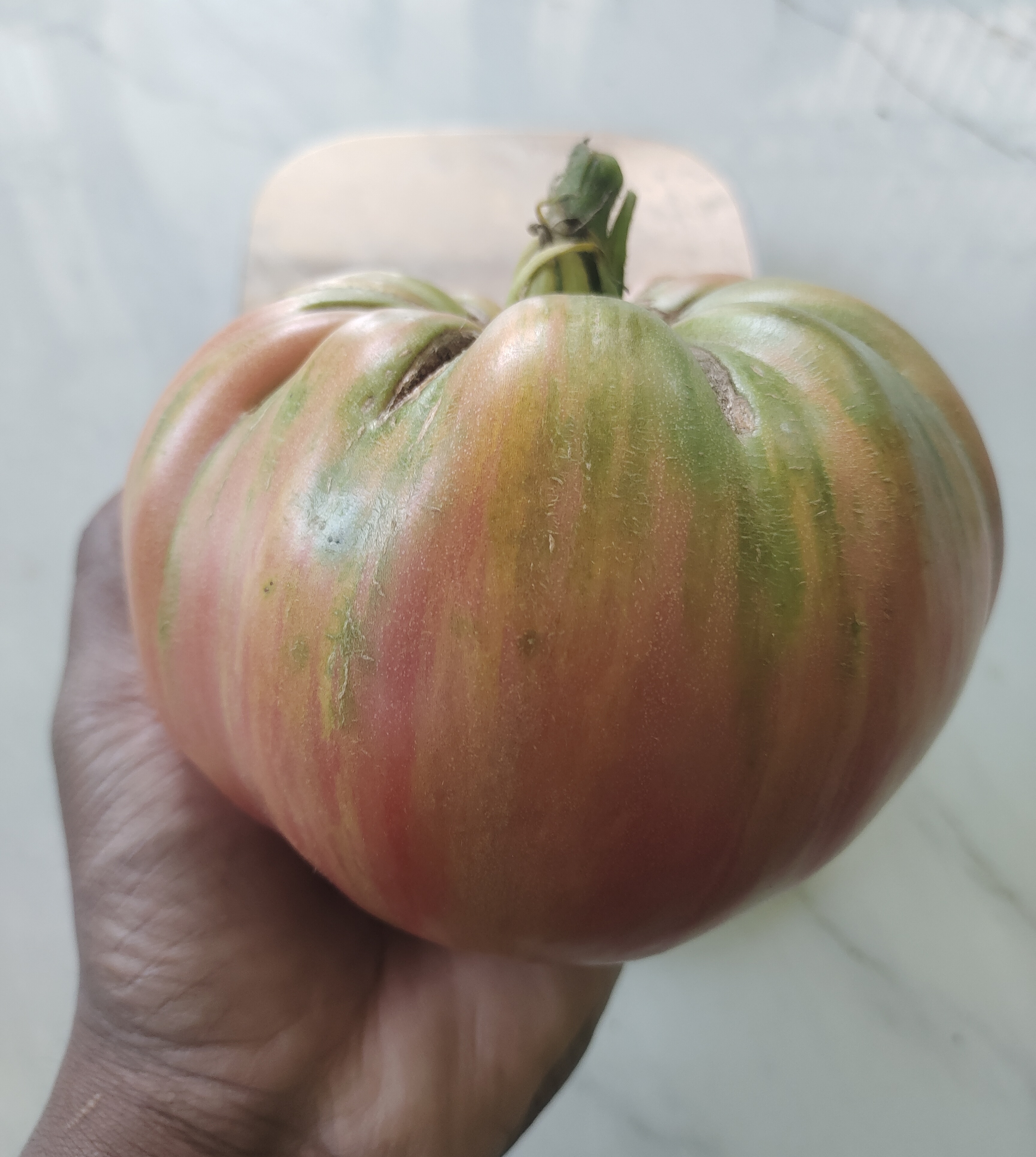 Pink Jazz Tomato (Artisan Heirloom)