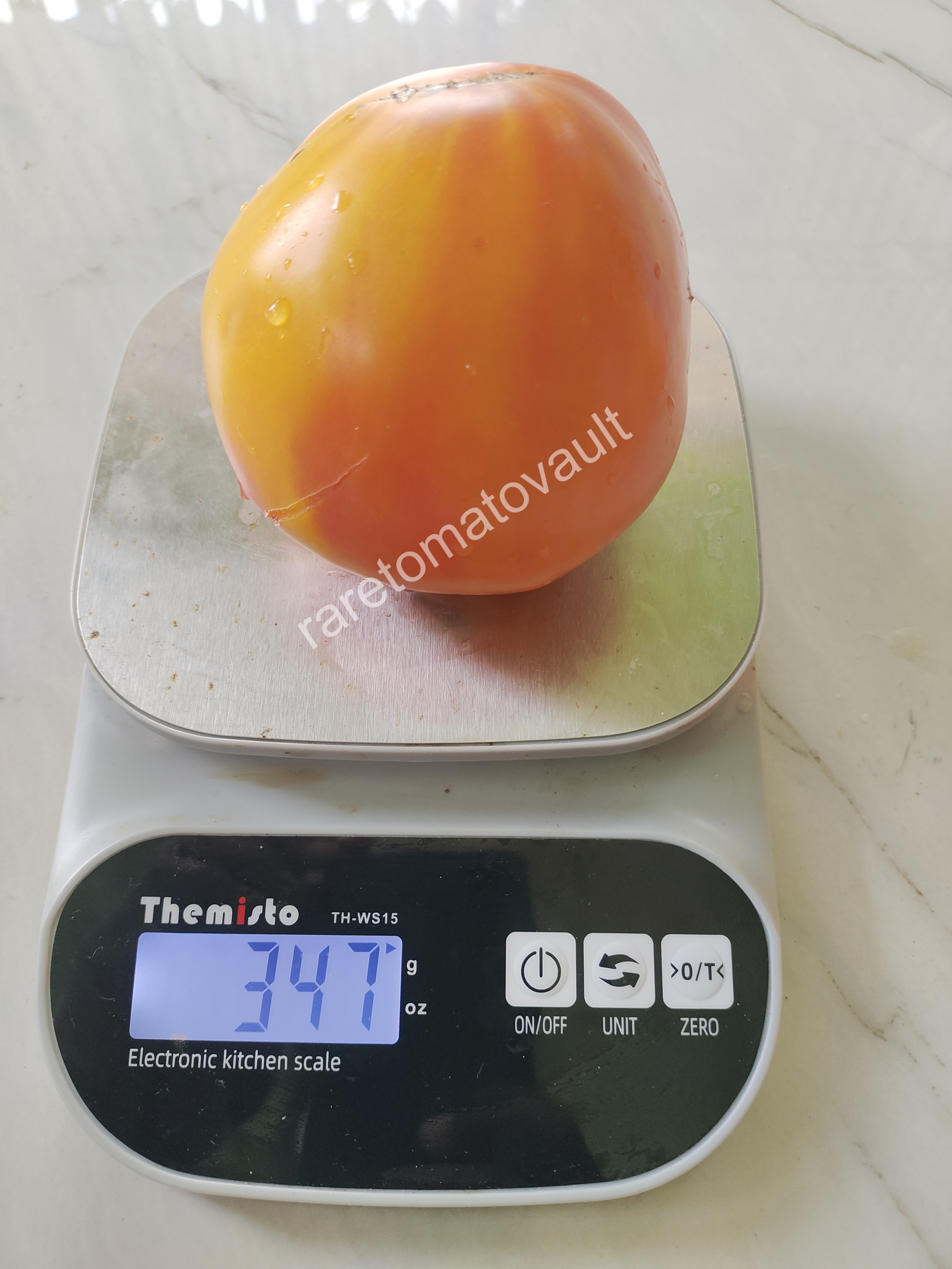 Sofia's Orange Mango (Russia)