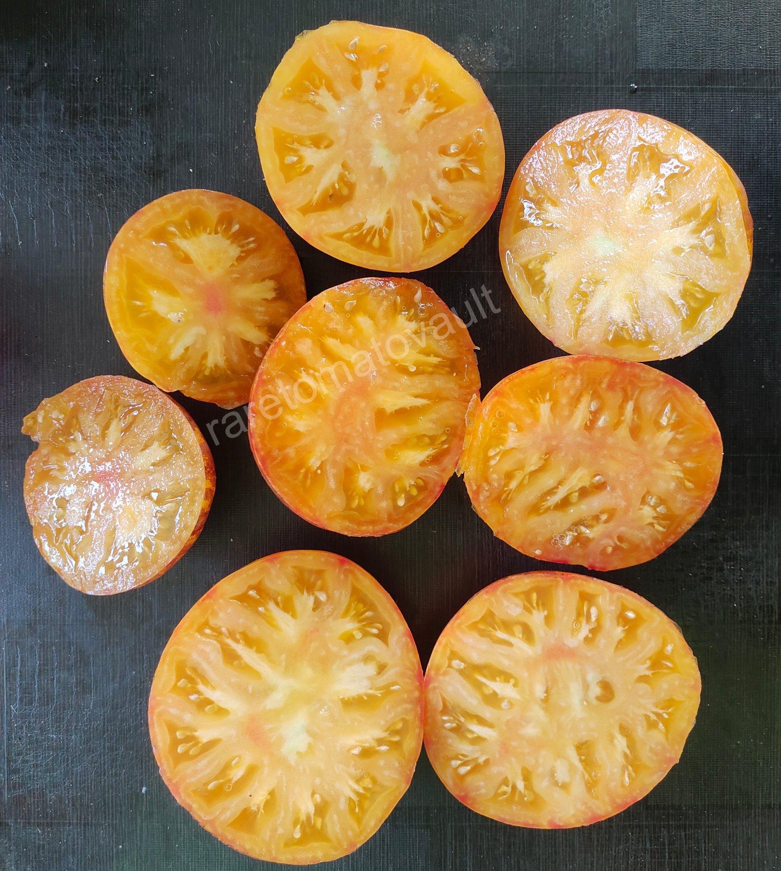 Alice Dream Tomato