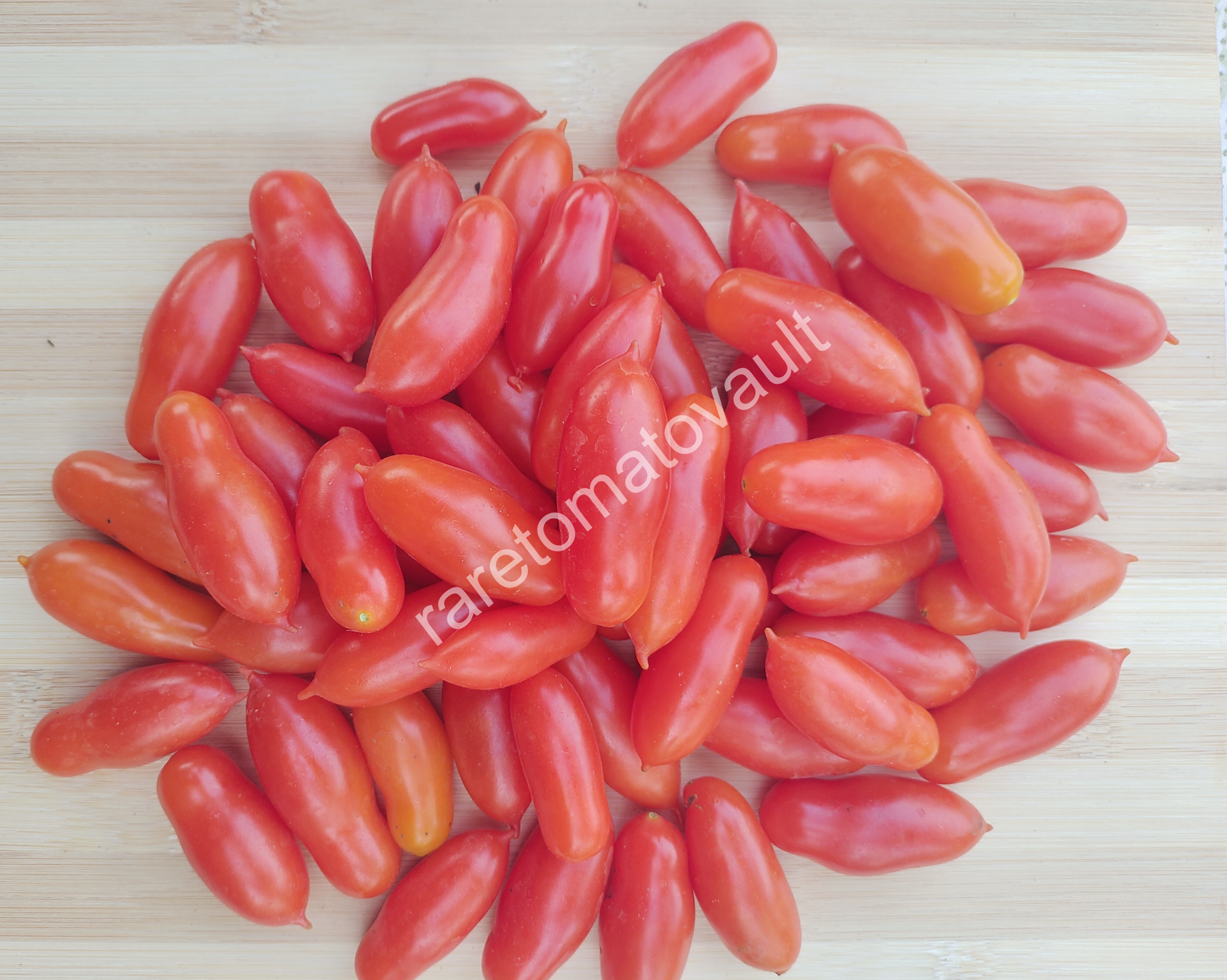 Pelino-2014 Tomato