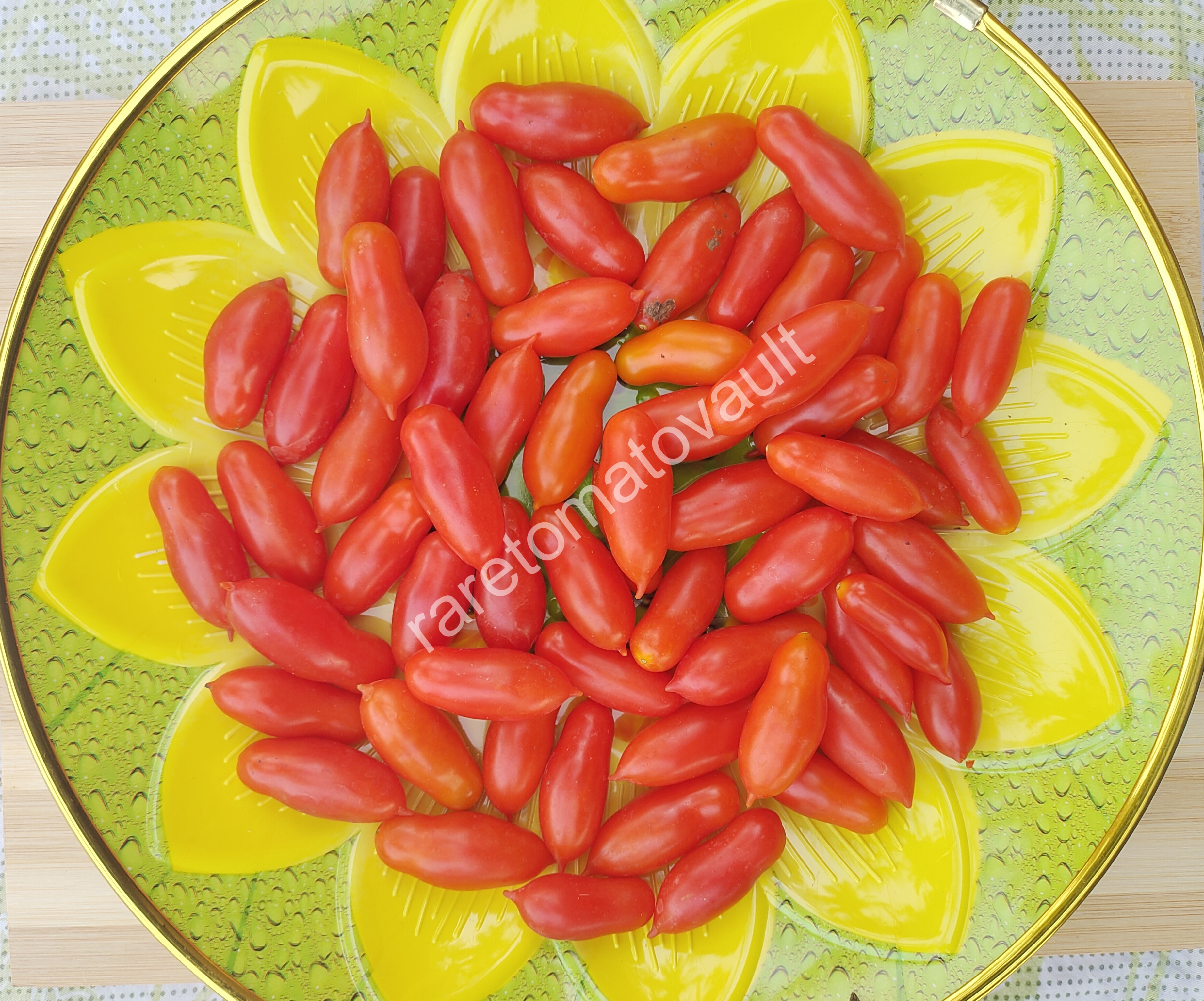 Pelino-2014 Tomato