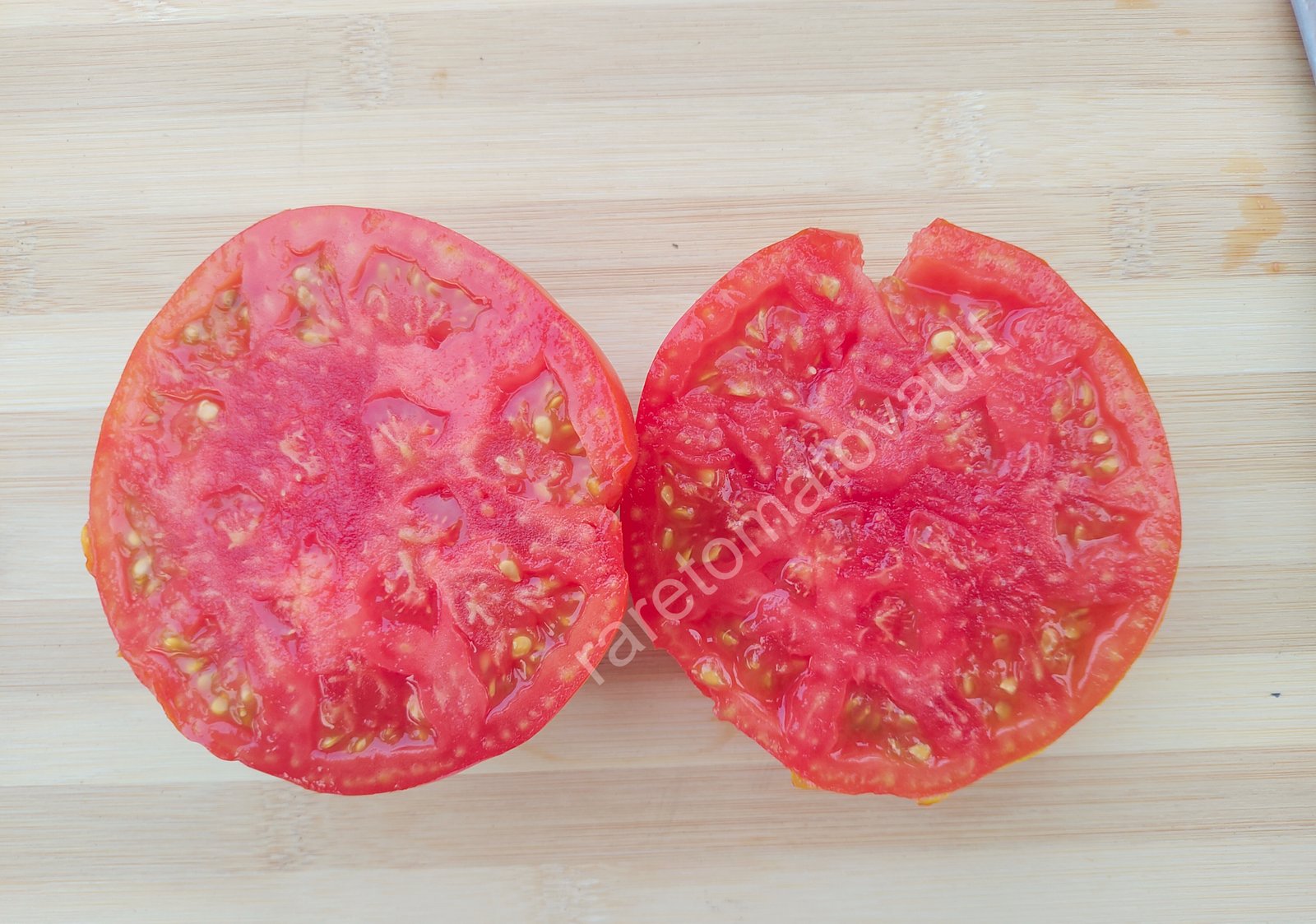 Brandywine OTV Tomato (Classic Heirloom)