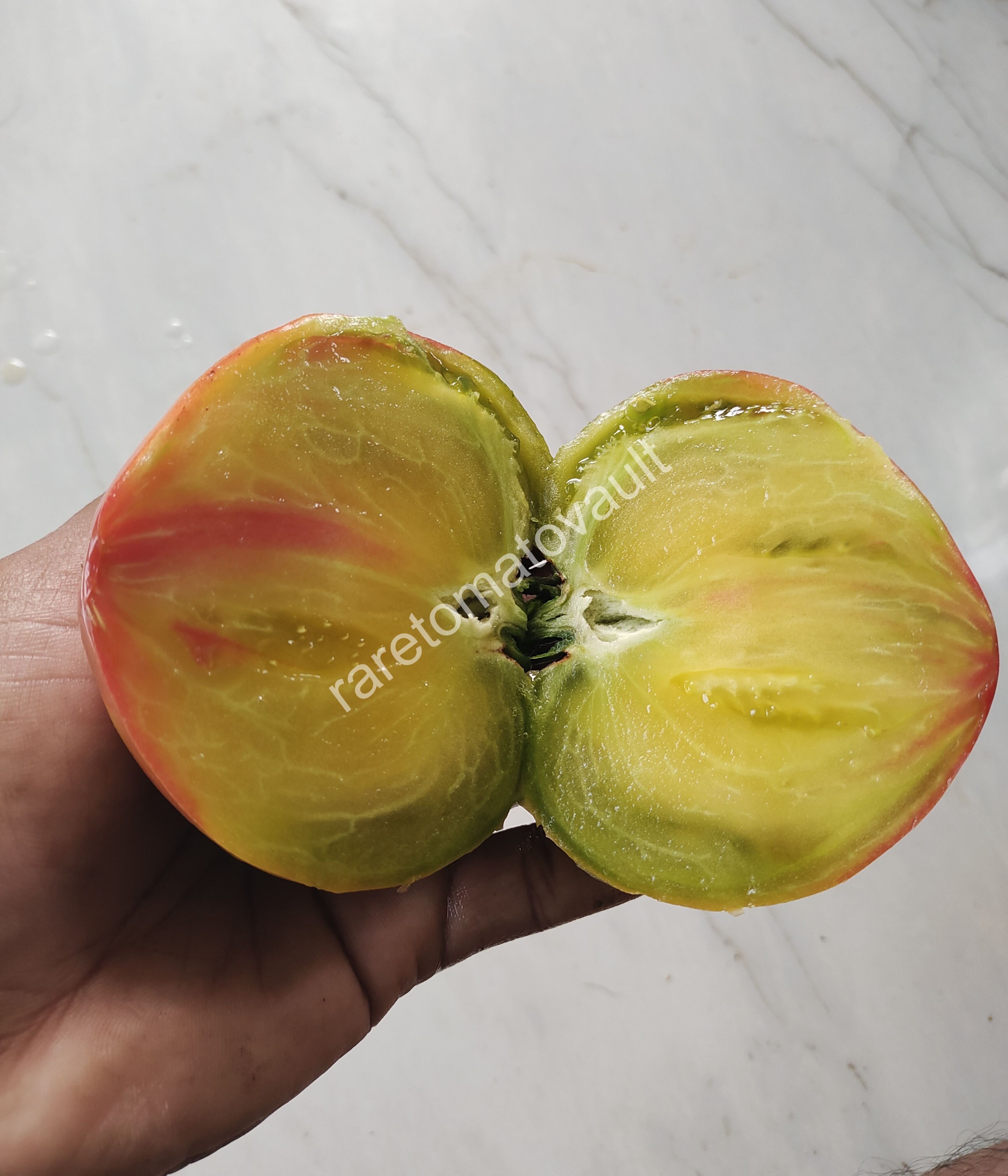 True Colors Tomato (Canada)