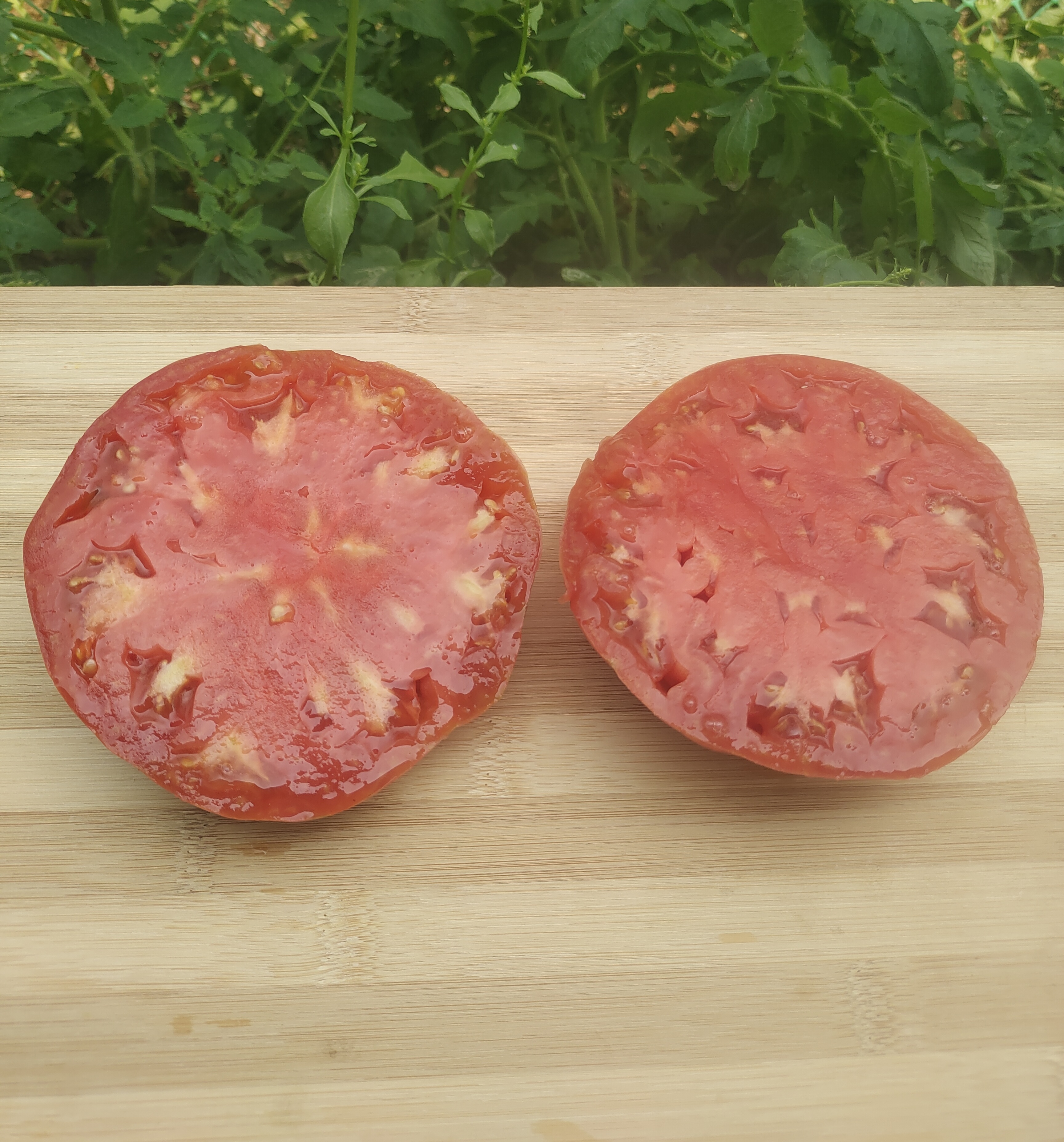 Pink Jazz Tomato (Artisan Heirloom)