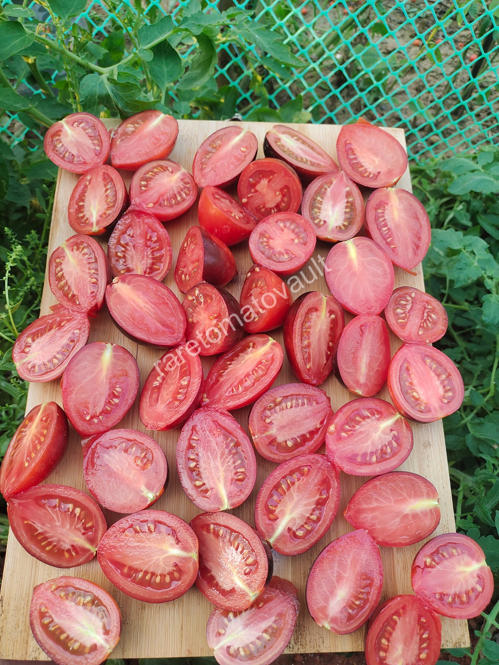 Blue Marzano Tomato (Naples, Italy)