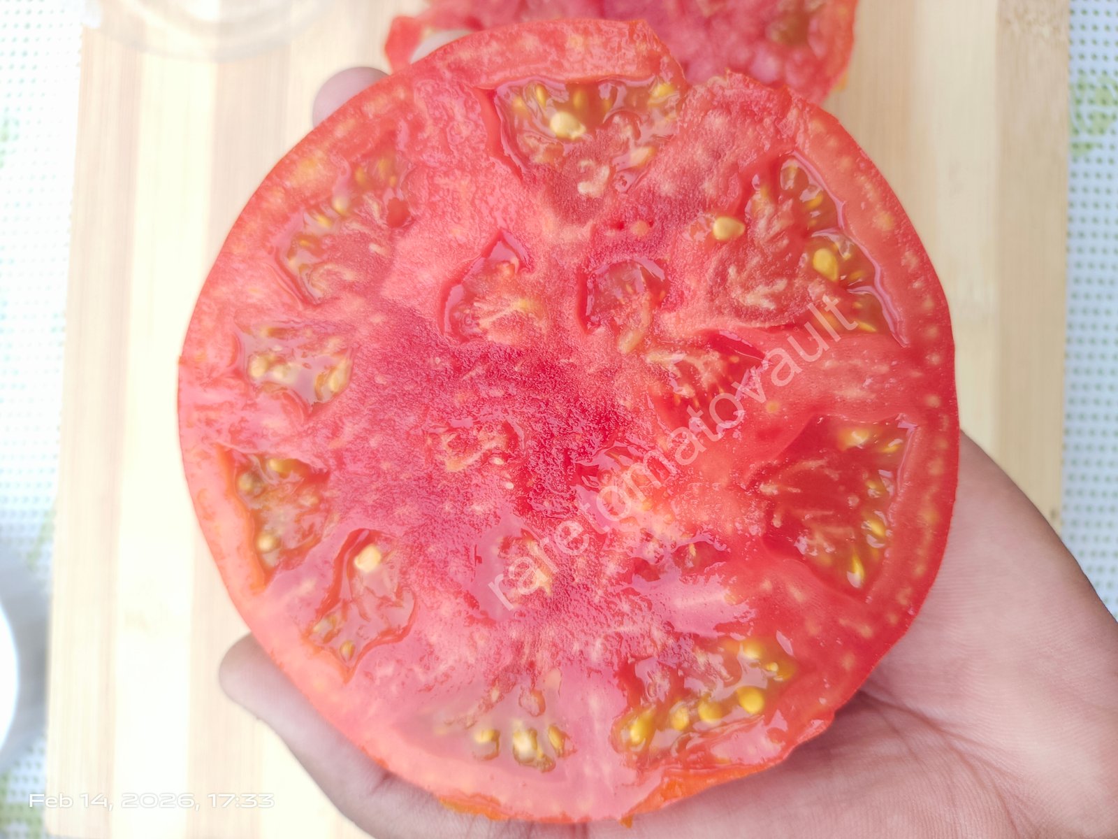 Brandywine OTV Tomato (Classic Heirloom)