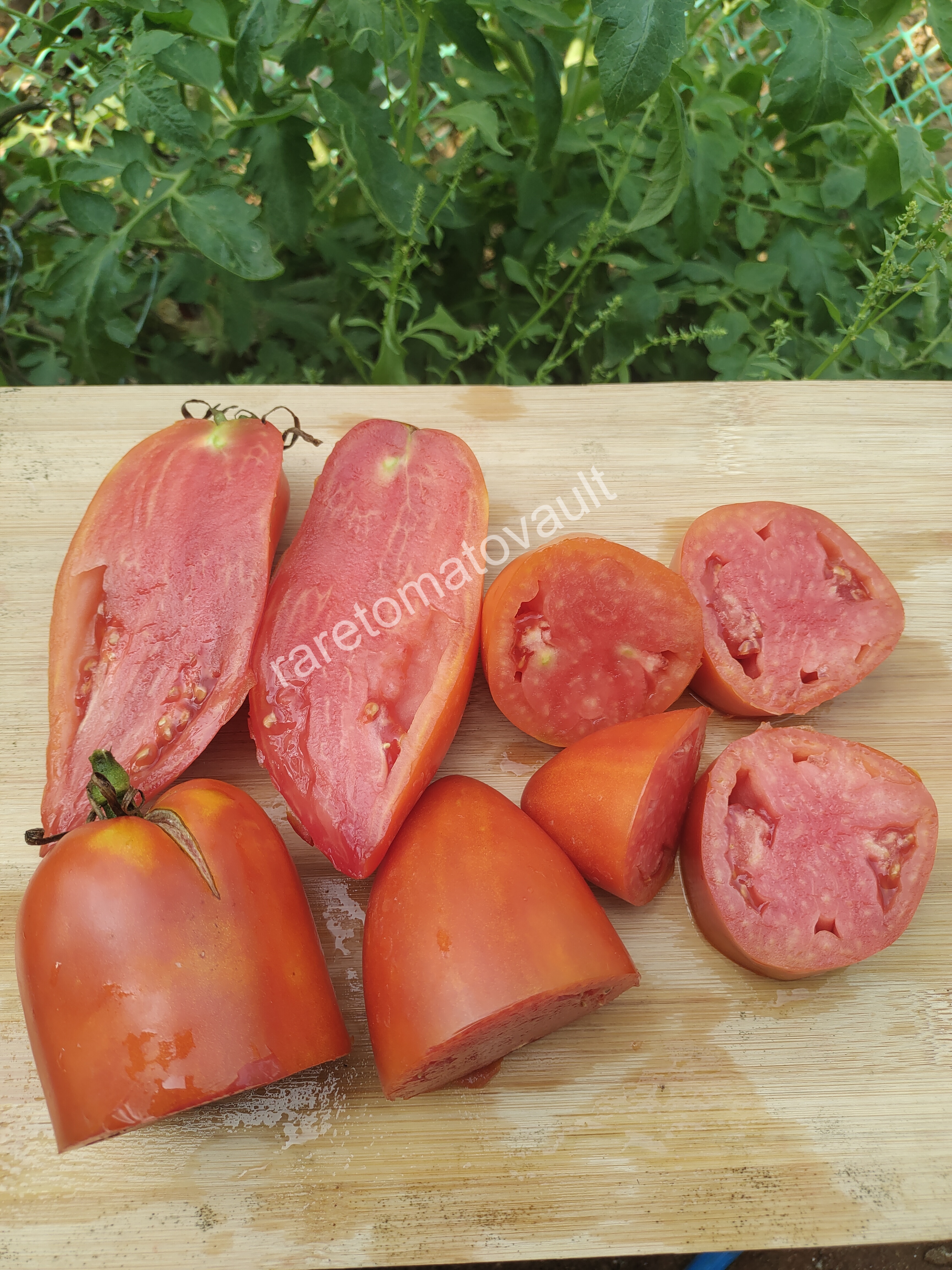 San Marzano Redorta Tomato (Italy)