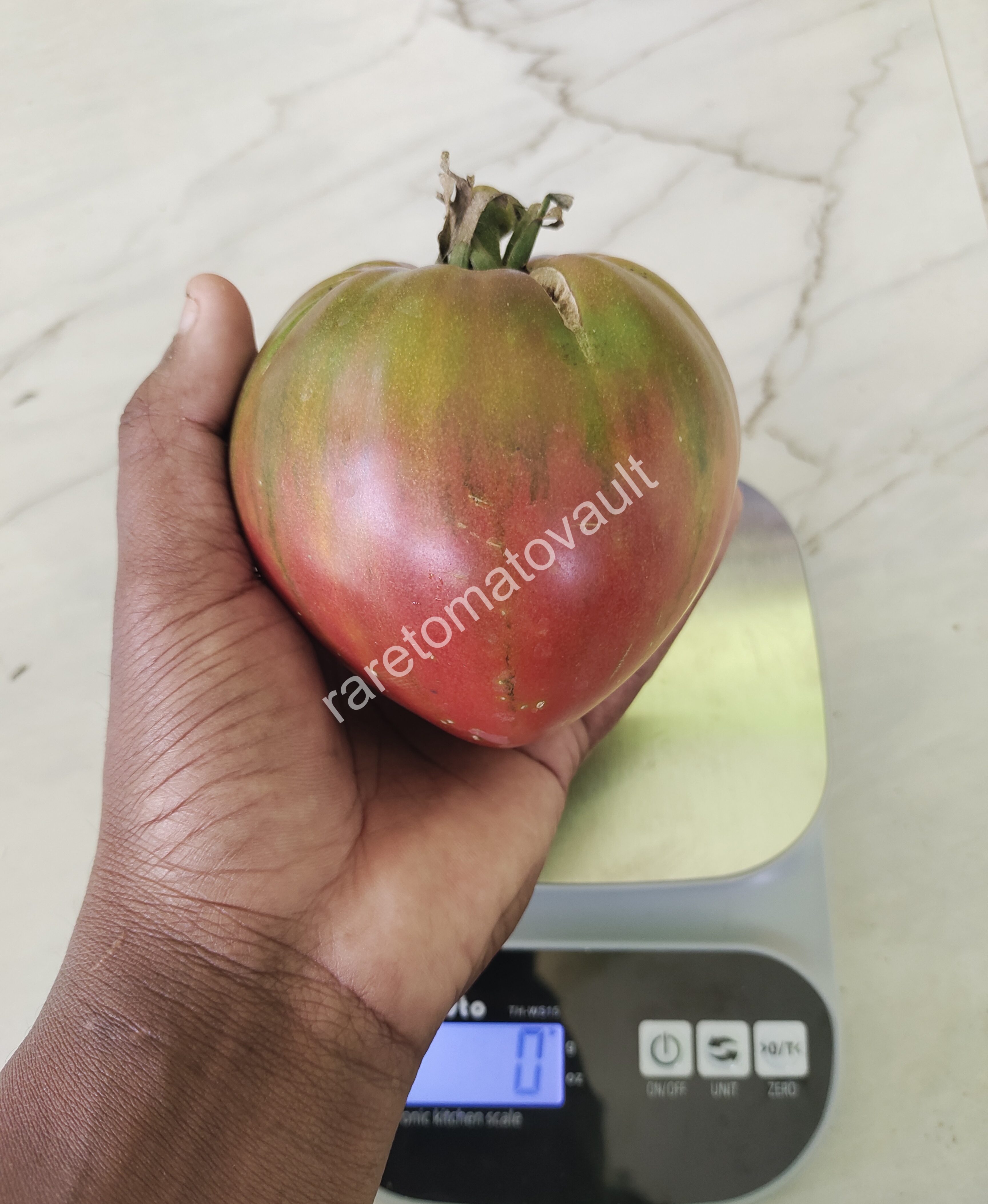 True Colors Tomato (Canada)