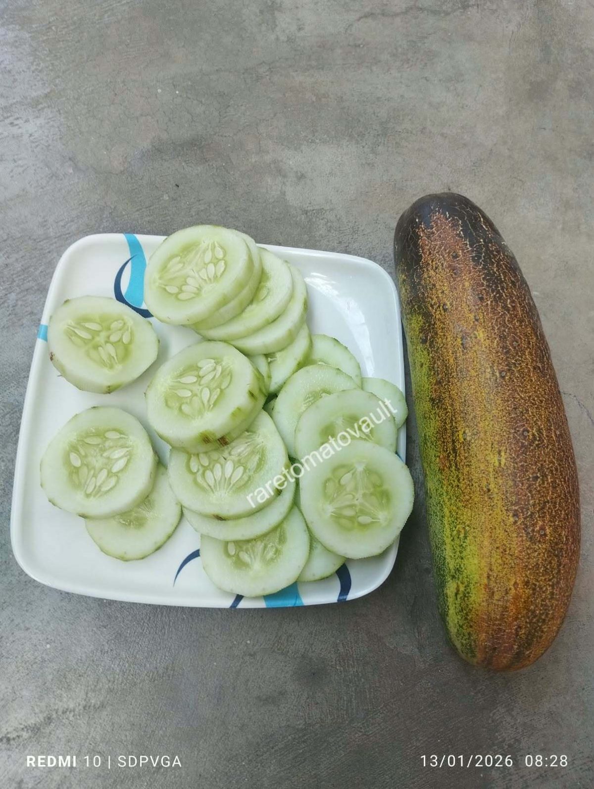 Poona Kheera – Traditional Indian Cucumber (Kakdi)